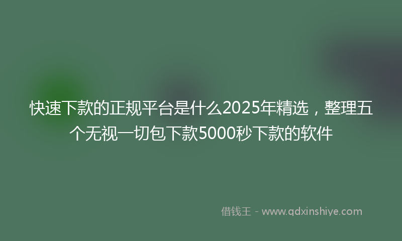快速下款的正规平台是什么2025年精选，整理五个无视一切包下款5000秒下款的软件