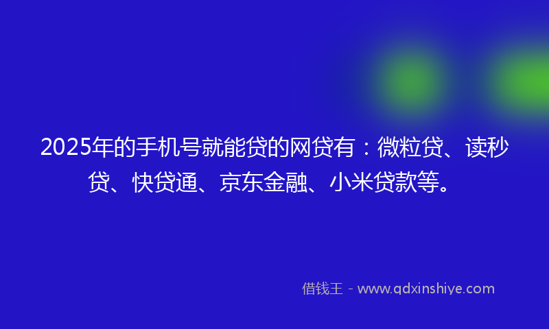 2025年的手机号就能贷的网贷有：微粒贷、读秒贷、快贷通、京东金融、小米贷款等。