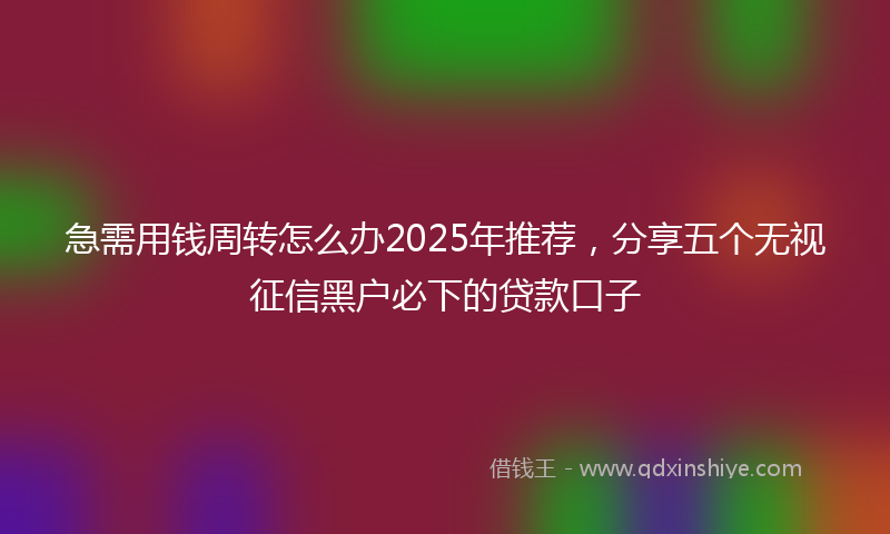 急需用钱周转怎么办2025年推荐，分享五个无视征信黑户必下的贷款口子