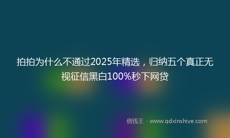 拍拍为什么不通过2025年精选，归纳五个真正无视征信黑白100%秒下网贷