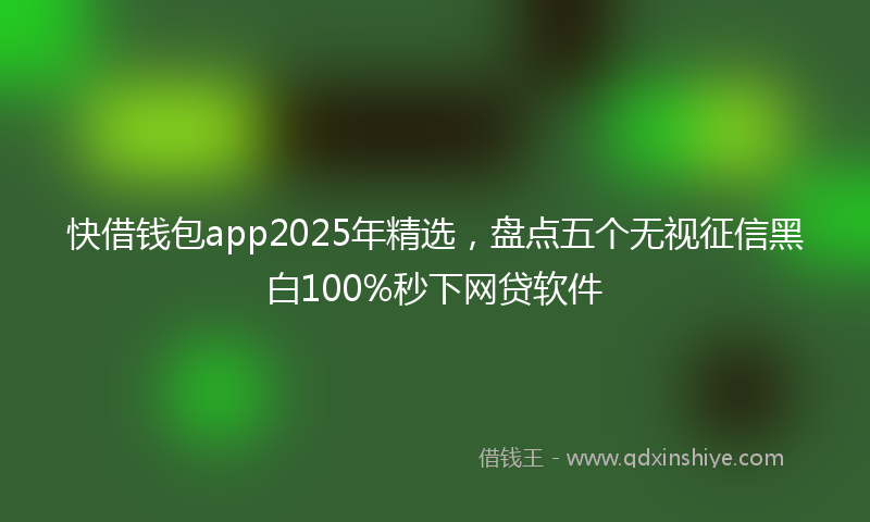 快借钱包app2025年精选，盘点五个无视征信黑白100%秒下网贷软件
