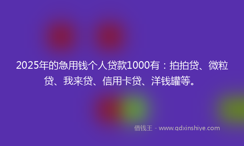 2025年的急用钱个人贷款1000有：拍拍贷、微粒贷、我来贷、信用卡贷、洋钱罐等。