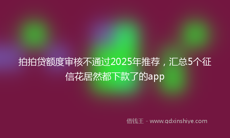 拍拍贷额度审核不通过2025年推荐，汇总5个征信花居然都下款了的app