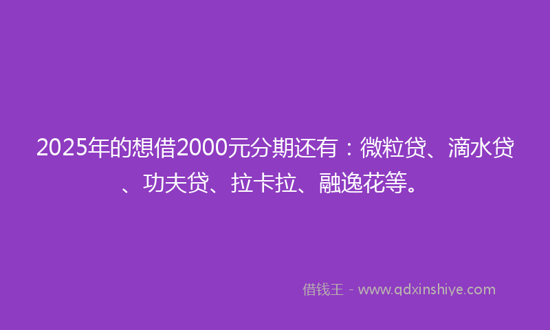 2025年的想借2000元分期还有：微粒贷、滴水贷、功夫贷、拉卡拉、融逸花等。