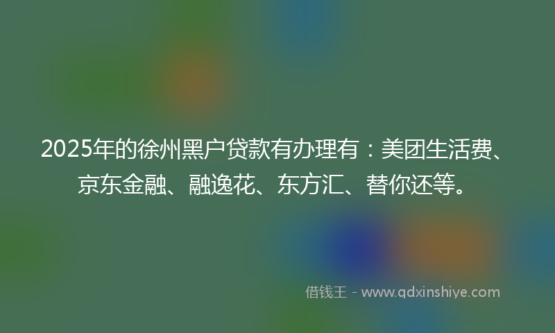 2025年的徐州黑户贷款有办理有：美团生活费、京东金融、融逸花、东方汇、替你还等。