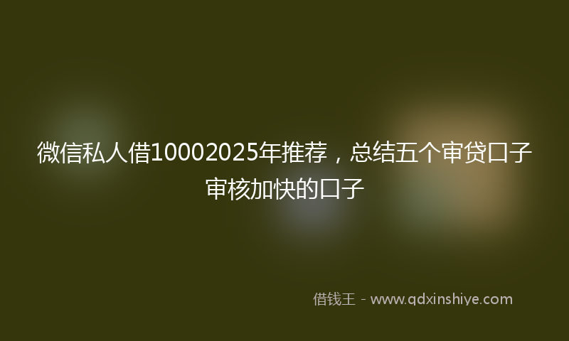 微信私人借10002025年推荐，总结五个审贷口子审核加快的口子