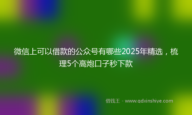 微信上可以借款的公众号有哪些2025年精选，梳理5个高炮口子秒下款