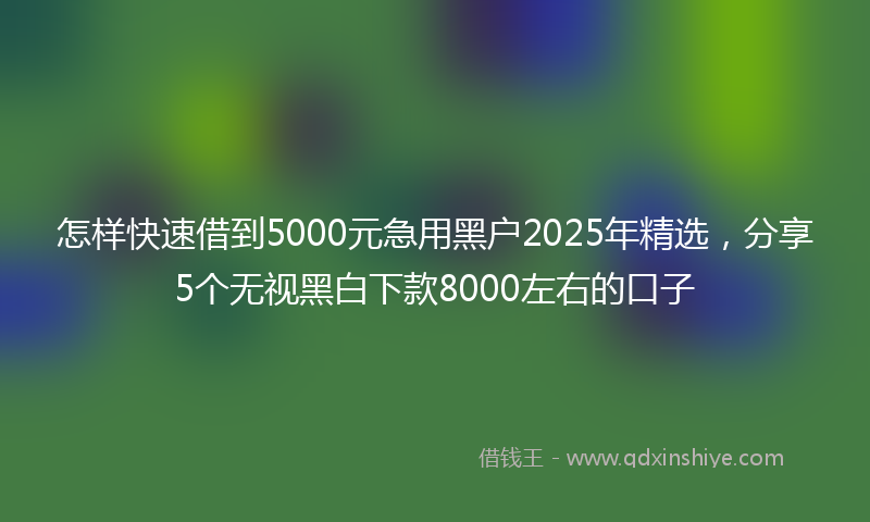 怎样快速借到5000元急用黑户2025年精选，分享5个无视黑白下款8000左右的口子