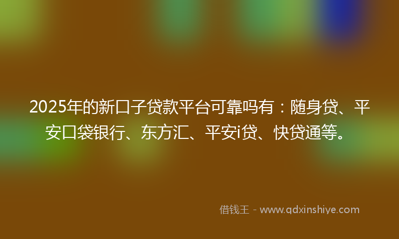 2025年的新口子贷款平台可靠吗有：随身贷、平安口袋银行、东方汇、平安i贷、快贷通等。