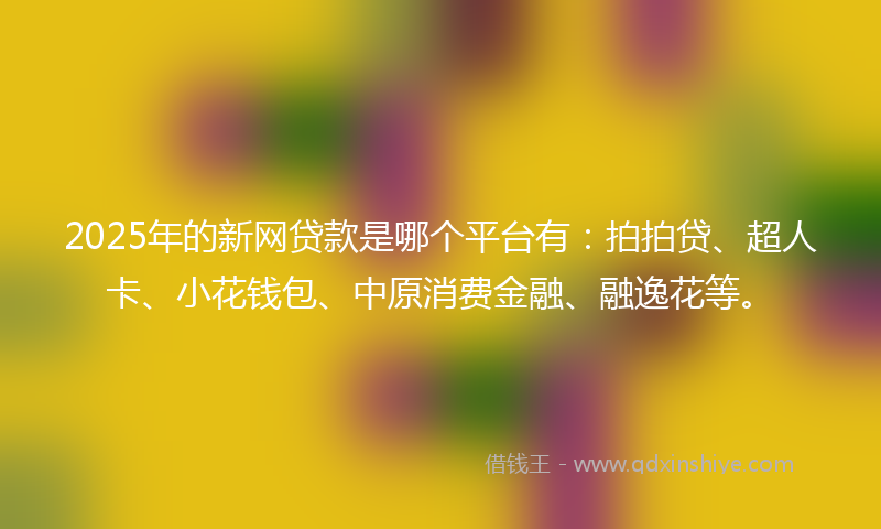 2025年的新网贷款是哪个平台有：拍拍贷、超人卡、小花钱包、中原消费金融、融逸花等。