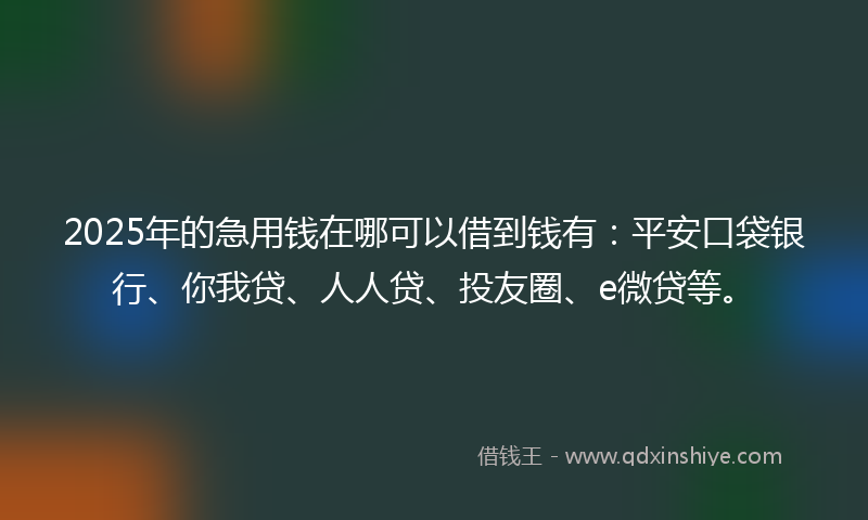 2025年的急用钱在哪可以借到钱有：平安口袋银行、你我贷、人人贷、投友圈、e微贷等。
