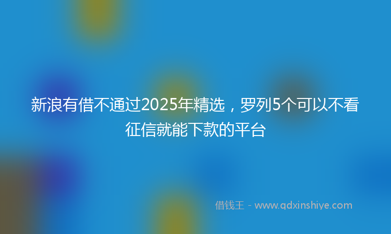 新浪有借不通过2025年精选，罗列5个可以不看征信就能下款的平台