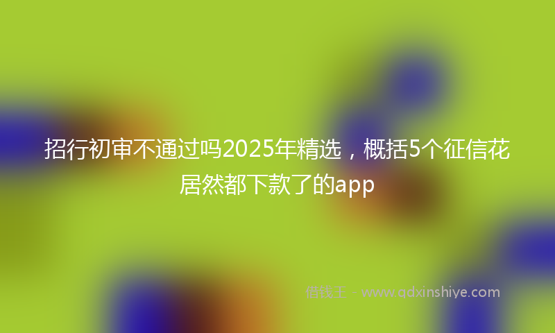 招行初审不通过吗2025年精选，概括5个征信花居然都下款了的app