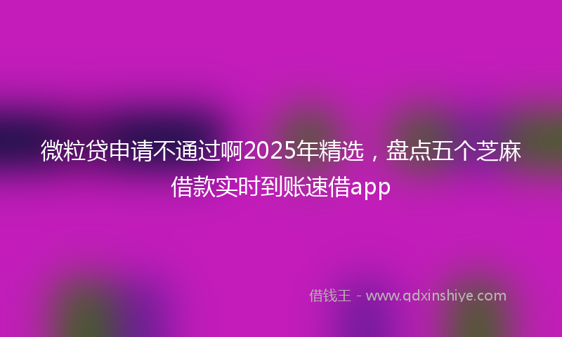 微粒贷申请不通过啊2025年精选，盘点五个芝麻借款实时到账速借app