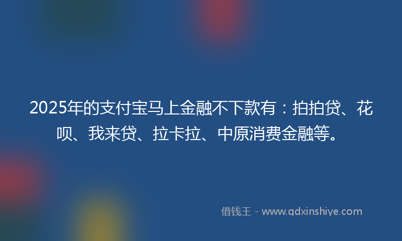 2025年的支付宝马上金融不下款有：拍拍贷、花呗、我来贷、拉卡拉、中原消费金融等。
