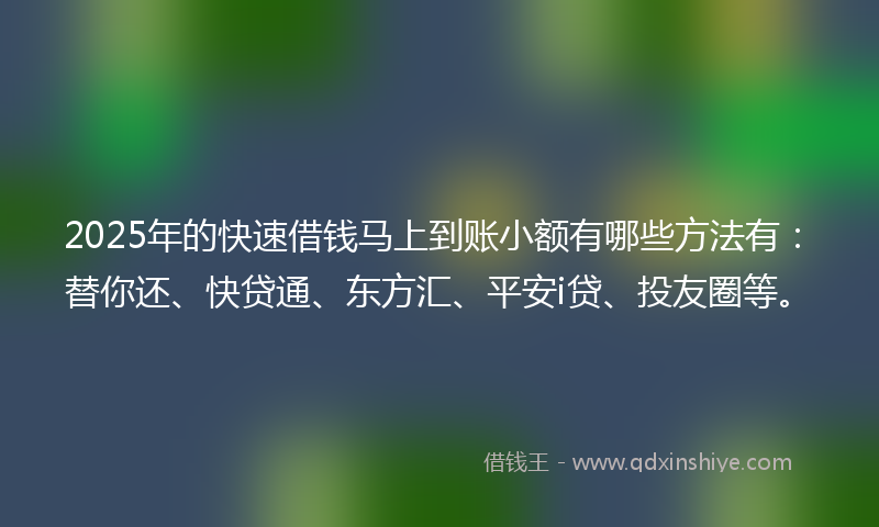 2025年的快速借钱马上到账小额有哪些方法有：替你还、快贷通、东方汇、平安i贷、投友圈等。
