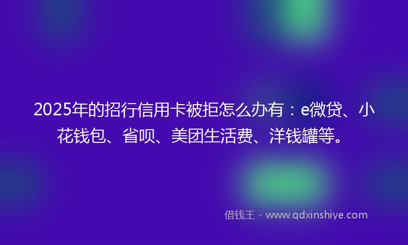 2025年的招行信用卡被拒怎么办有：e微贷、小花钱包、省呗、美团生活费、洋钱罐等。