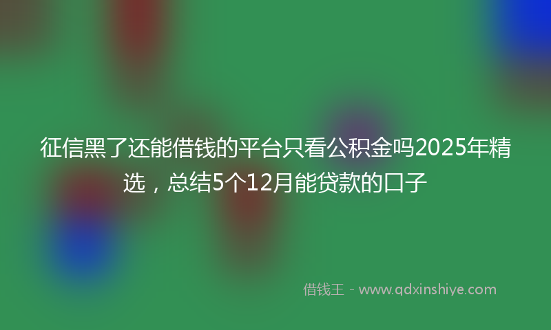 征信黑了还能借钱的平台只看公积金吗2025年精选，总结5个12月能贷款的口子