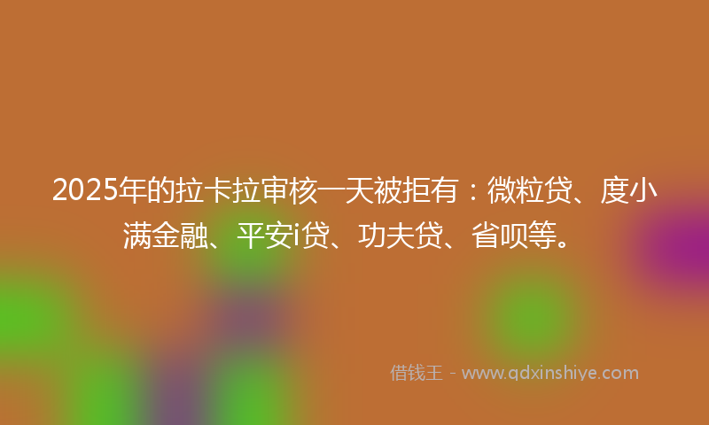 2025年的拉卡拉审核一天被拒有：微粒贷、度小满金融、平安i贷、功夫贷、省呗等。