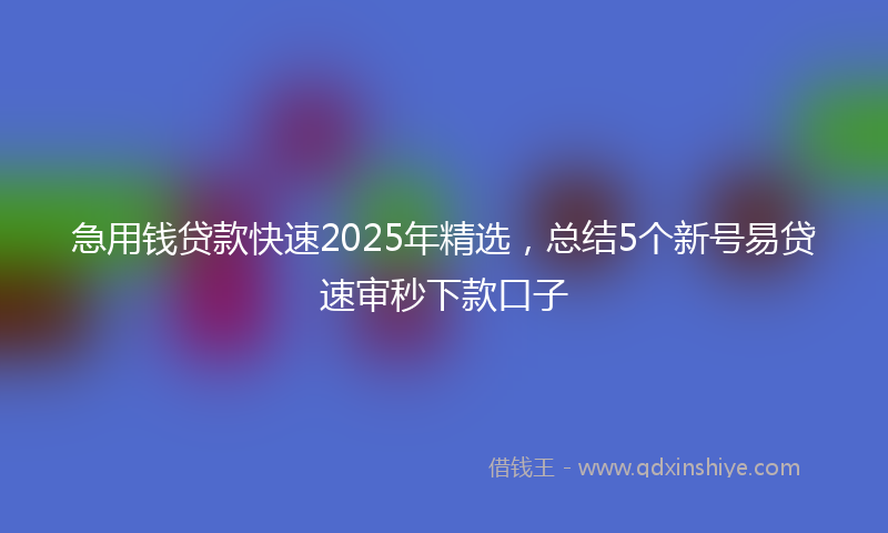 急用钱贷款快速2025年精选，总结5个新号易贷速审秒下款口子