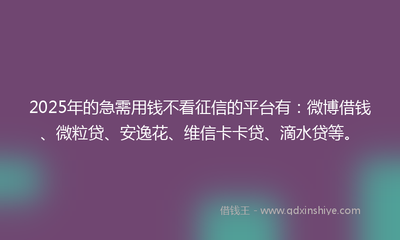 2025年的急需用钱不看征信的平台有：微博借钱、微粒贷、安逸花、维信卡卡贷、滴水贷等。