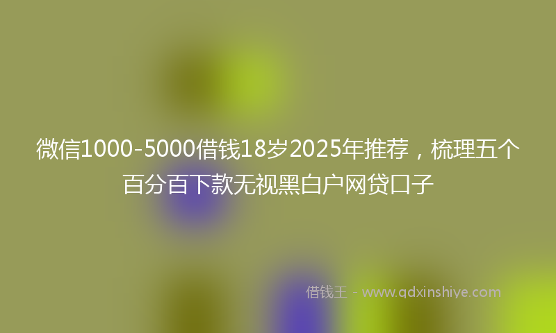 微信1000-5000借钱18岁2025年推荐，梳理五个百分百下款无视黑白户网贷口子