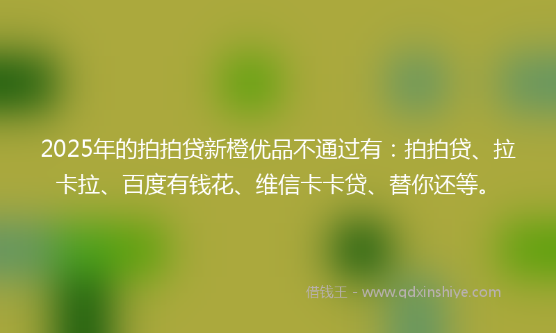 2025年的拍拍贷新橙优品不通过有：拍拍贷、拉卡拉、百度有钱花、维信卡卡贷、替你还等。
