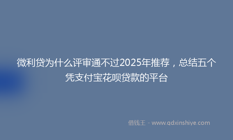 微利贷为什么评审通不过2025年推荐，总结五个凭支付宝花呗贷款的平台