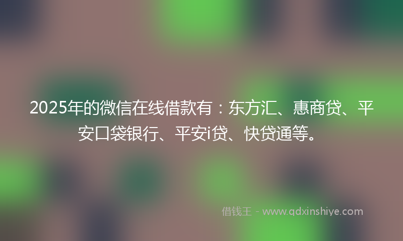 2025年的微信在线借款有：东方汇、惠商贷、平安口袋银行、平安i贷、快贷通等。