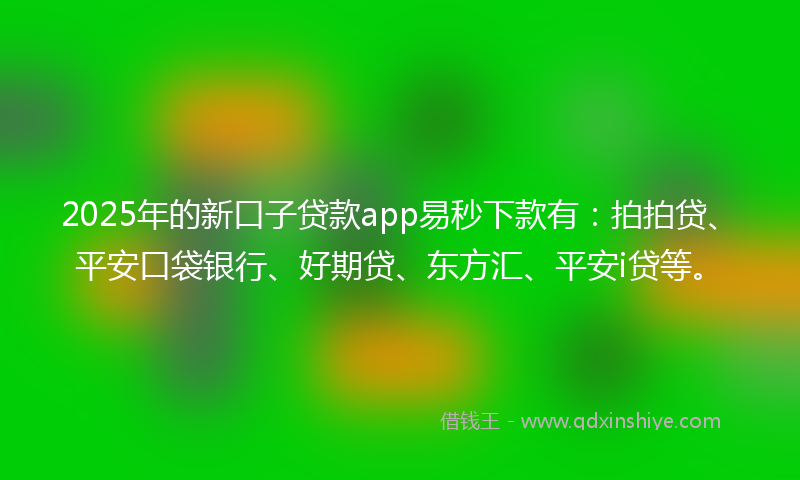 2025年的新口子贷款app易秒下款有：拍拍贷、平安口袋银行、好期贷、东方汇、平安i贷等。