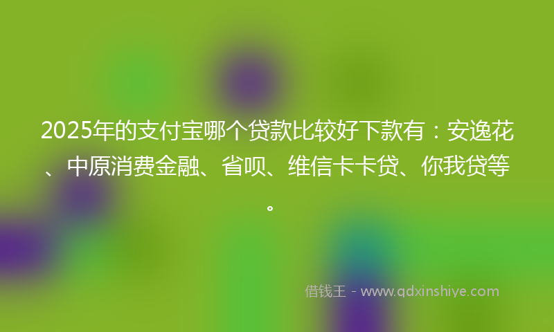 2025年的支付宝哪个贷款比较好下款有：安逸花、中原消费金融、省呗、维信卡卡贷、你我贷等。