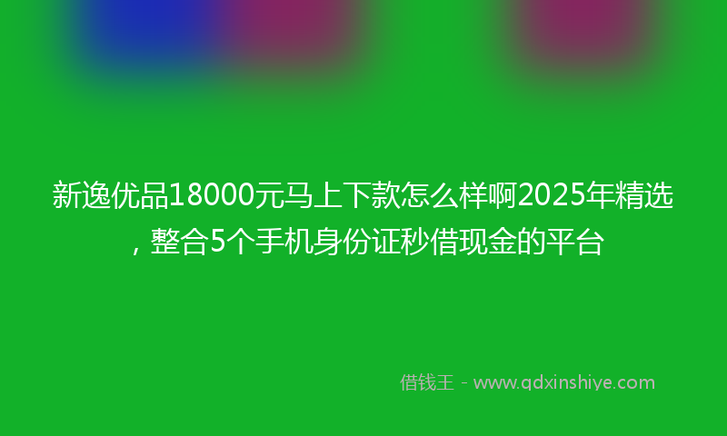 新逸优品18000元马上下款怎么样啊2025年精选，整合5个手机身份证秒借现金的平台
