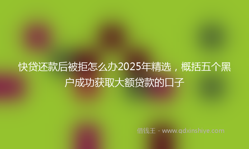 快贷还款后被拒怎么办2025年精选，概括五个黑户成功获取大额贷款的口子