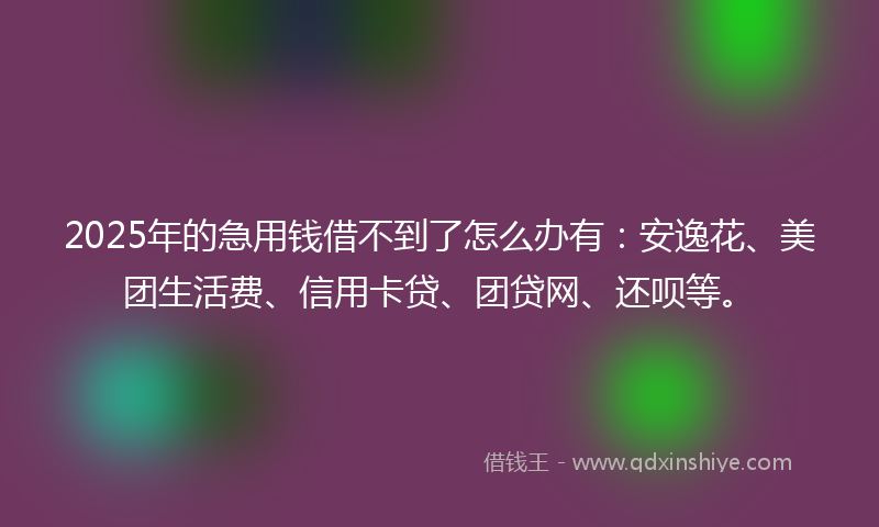 2025年的急用钱借不到了怎么办有：安逸花、美团生活费、信用卡贷、团贷网、还呗等。