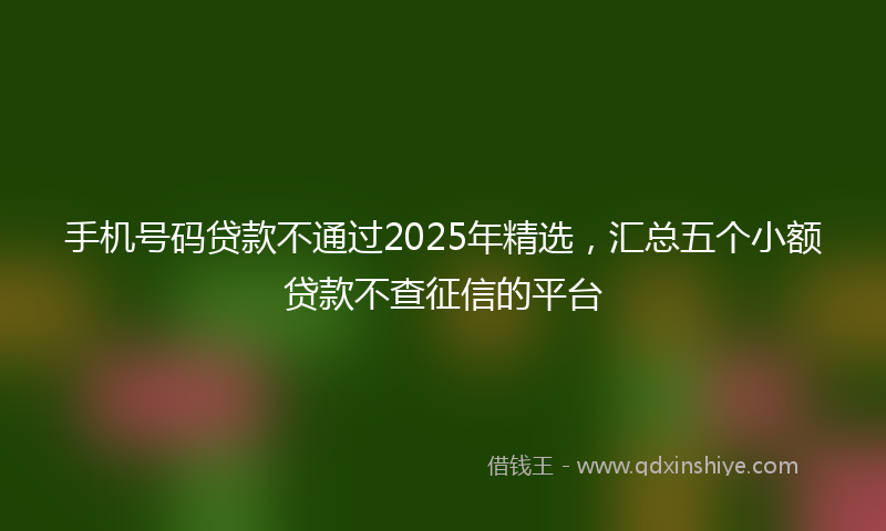 手机号码贷款不通过2025年精选，汇总五个小额贷款不查征信的平台