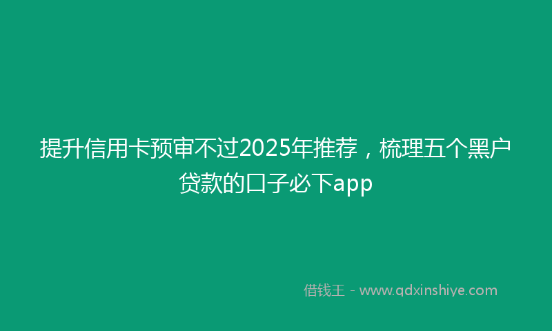 提升信用卡预审不过2025年推荐，梳理五个黑户贷款的口子必下app
