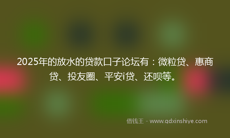 2025年的放水的贷款口子论坛有：微粒贷、惠商贷、投友圈、平安i贷、还呗等。
