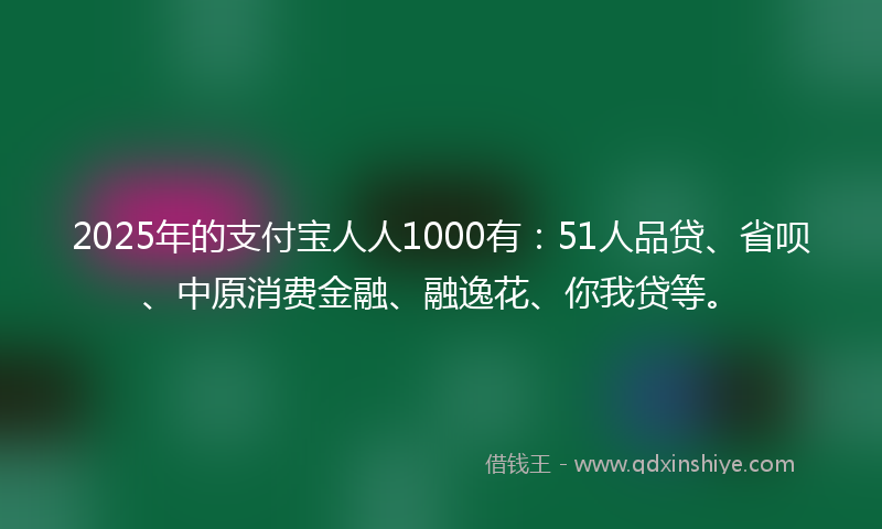 2025年的支付宝人人1000有：51人品贷、省呗、中原消费金融、融逸花、你我贷等。