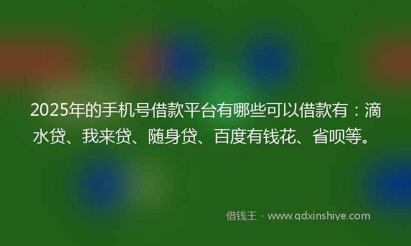 2025年的手机号借款平台有哪些可以借款有：滴水贷、我来贷、随身贷、百度有钱花、省呗等。