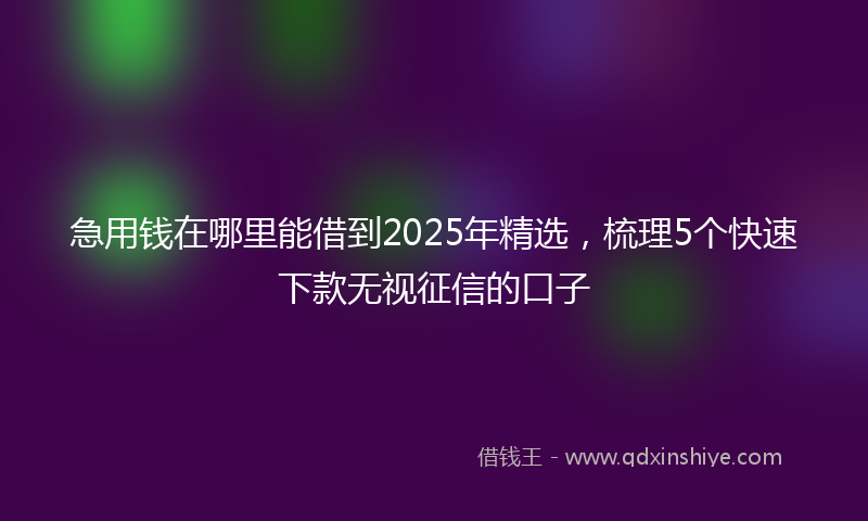 急用钱在哪里能借到2025年精选，梳理5个快速下款无视征信的口子