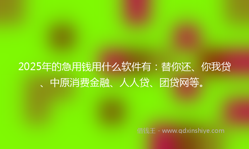 2025年的急用钱用什么软件有：替你还、你我贷、中原消费金融、人人贷、团贷网等。