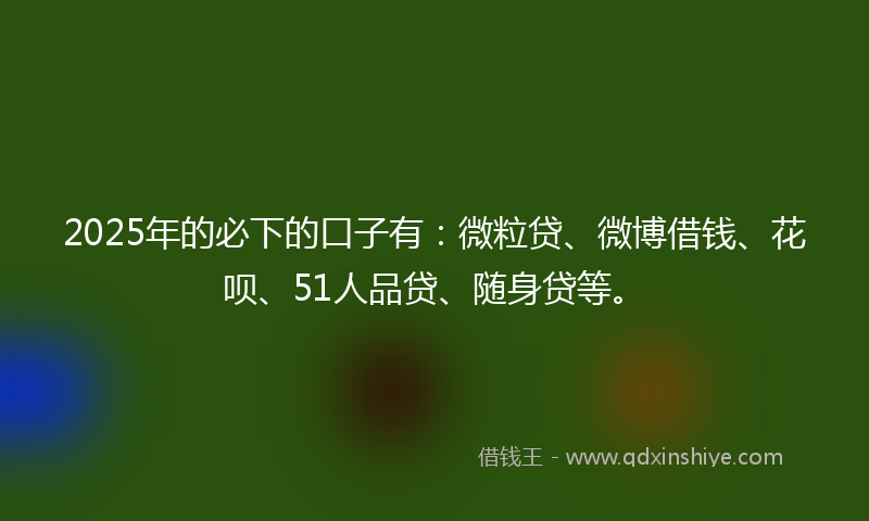 2025年的必下的口子有：微粒贷、微博借钱、花呗、51人品贷、随身贷等。