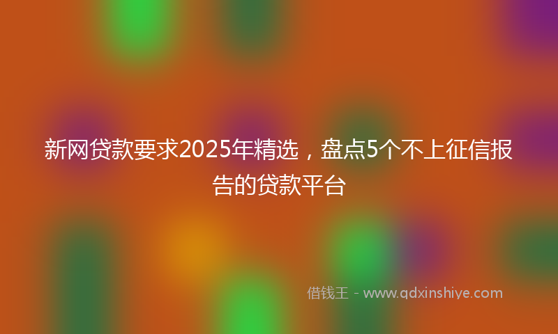 新网贷款要求2025年精选，盘点5个不上征信报告的贷款平台