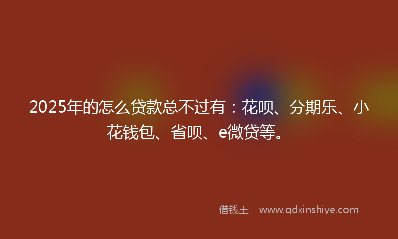2025年的怎么贷款总不过有：花呗、分期乐、小花钱包、省呗、e微贷等。