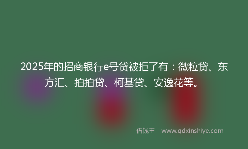 2025年的招商银行e号贷被拒了有：微粒贷、东方汇、拍拍贷、柯基贷、安逸花等。