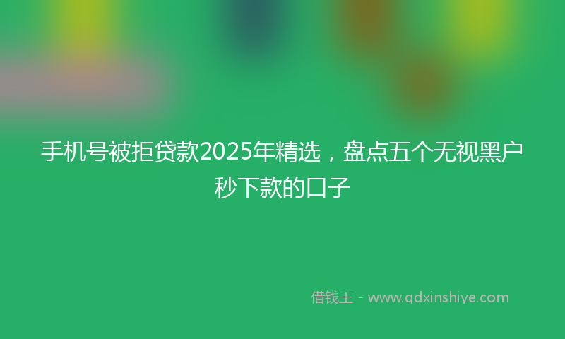 手机号被拒贷款2025年精选，盘点五个无视黑户秒下款的口子
