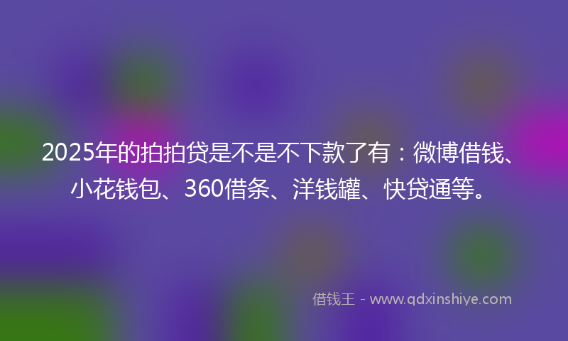 2025年的拍拍贷是不是不下款了有：微博借钱、小花钱包、360借条、洋钱罐、快贷通等。