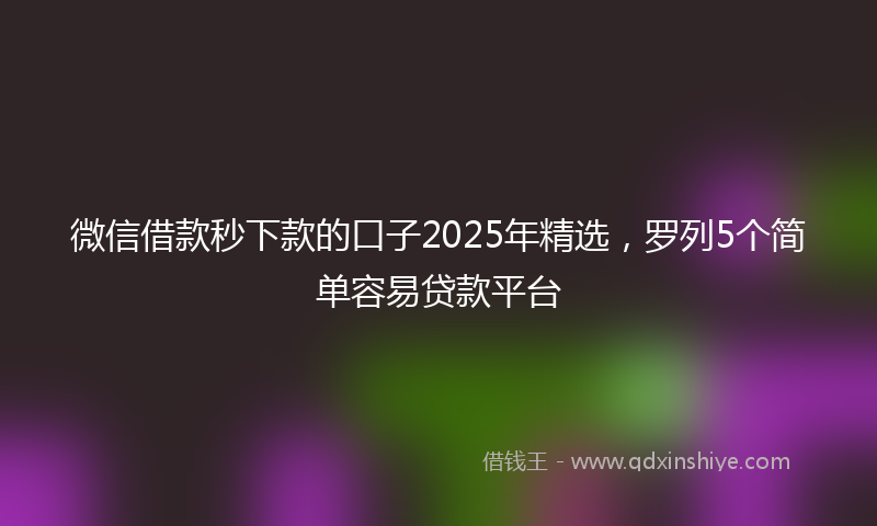 微信借款秒下款的口子2025年精选，罗列5个简单容易贷款平台