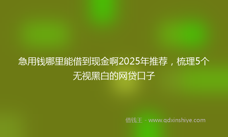 急用钱哪里能借到现金啊2025年推荐，梳理5个无视黑白的网贷口子