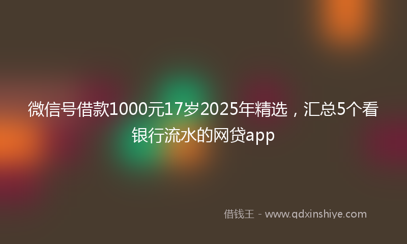 微信号借款1000元17岁2025年精选，汇总5个看银行流水的网贷app